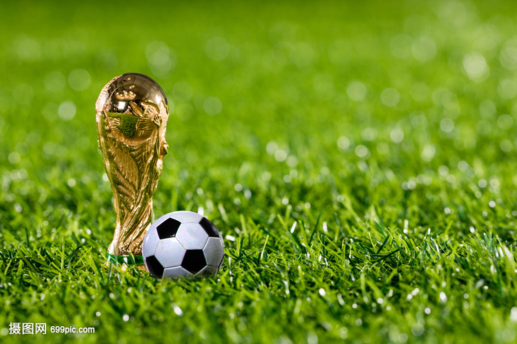 透明度与可 透明度与可